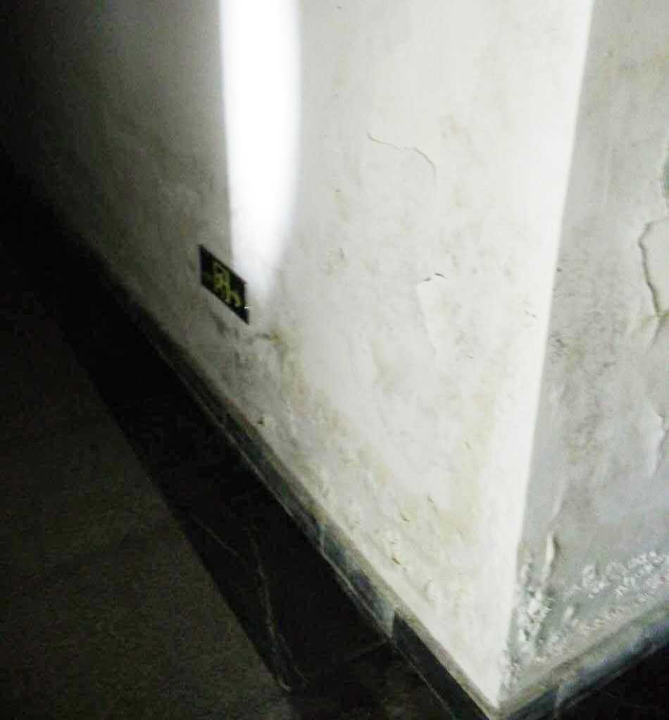 59102f9532009 59102f9532009